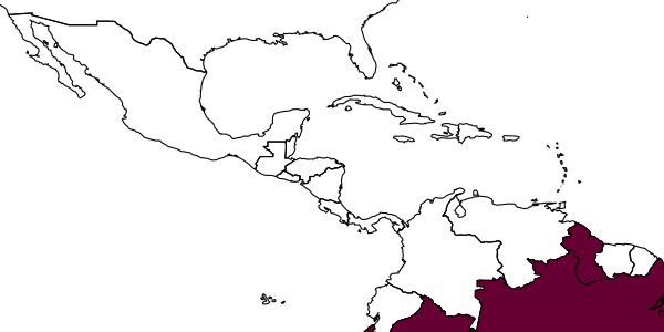 map of Conura tricolorata     (Cameron, 1913)